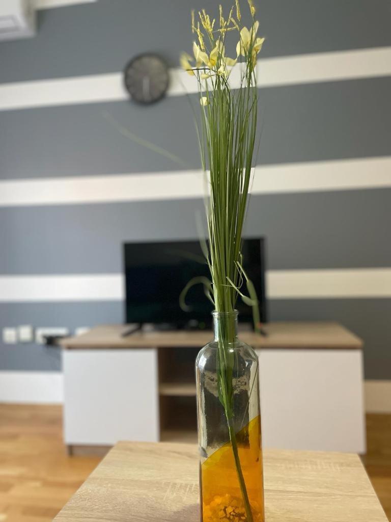 Naki Apartmani Podgorica Værelse billede